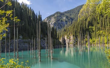 Kaindy Lake Kazakhstan