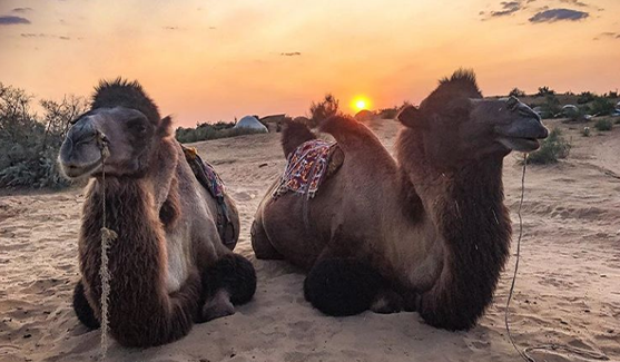 Central Asia Tours