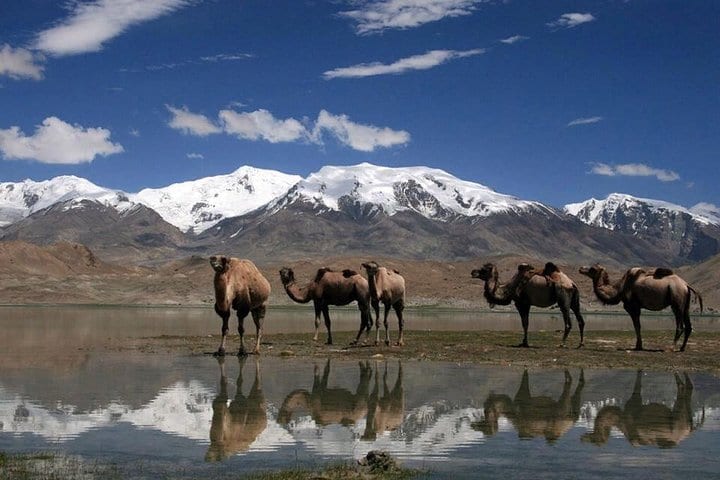 Pamir On The Way