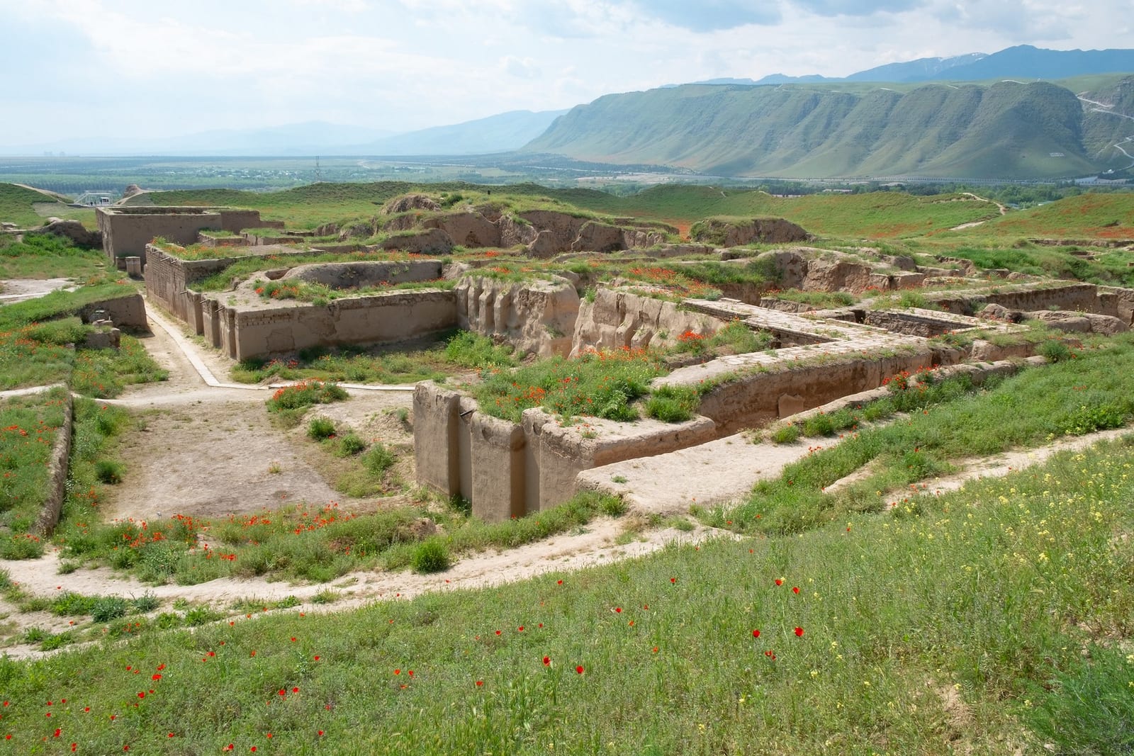 Nisa Fortress